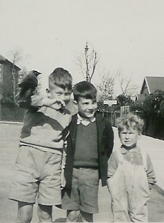 JOHN KID +bird_crop